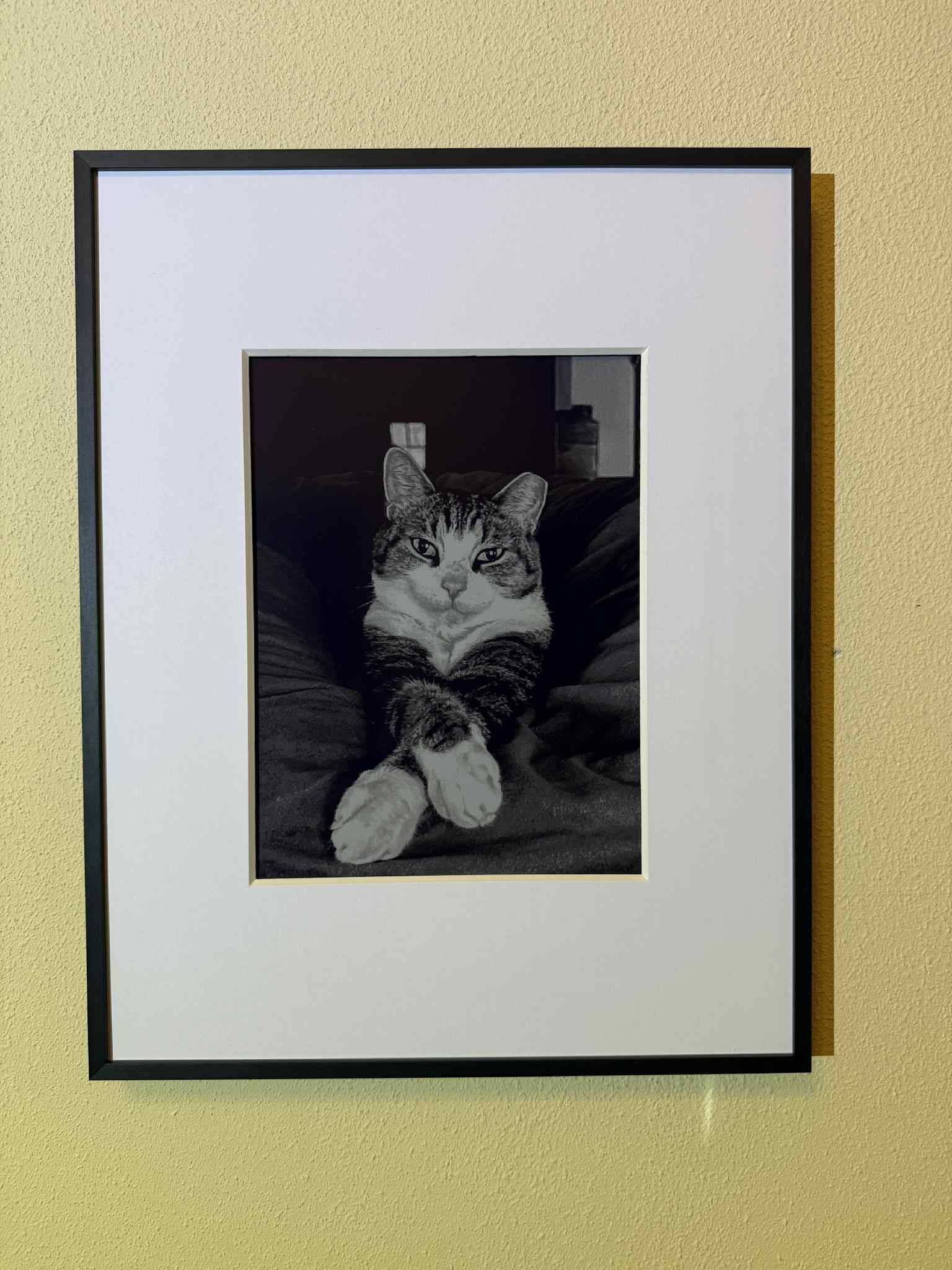 High-def blakc and white photo on Aluratek digital frame