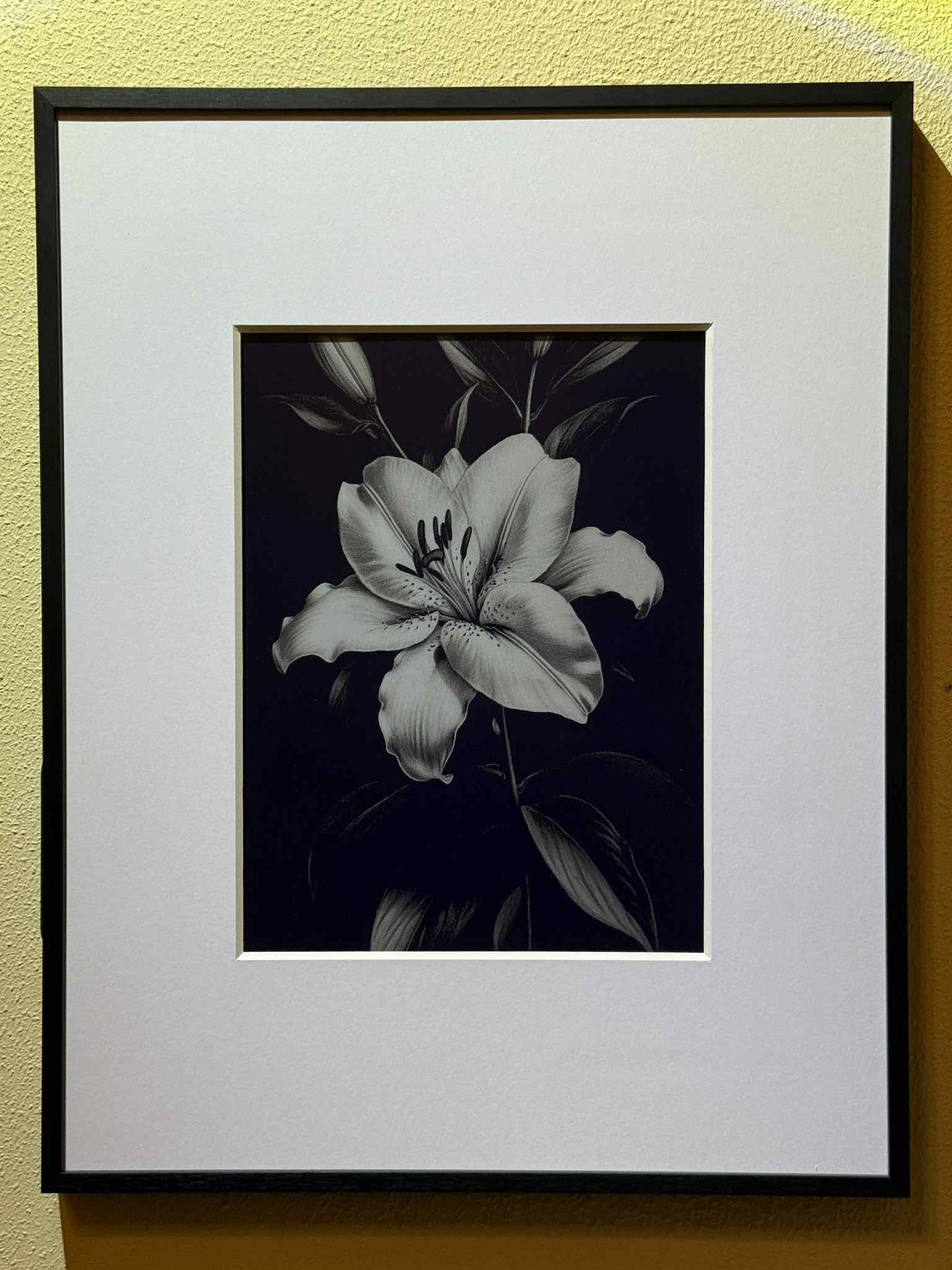 Image of black and white hand drawn flower on a digital photo frame