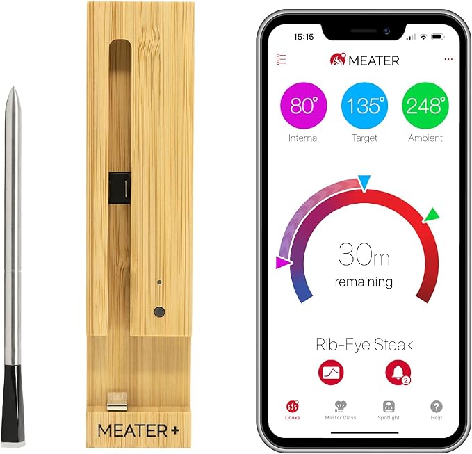 wireless smart thermometer